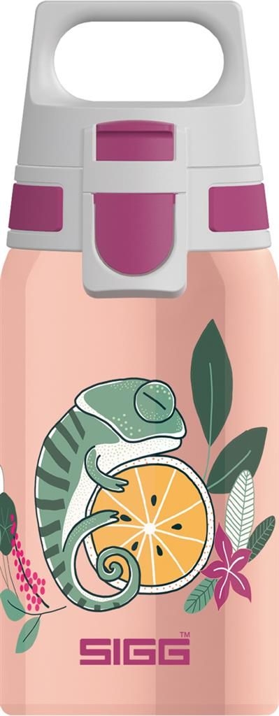 Sigg gourde inox 0.5 - Flora