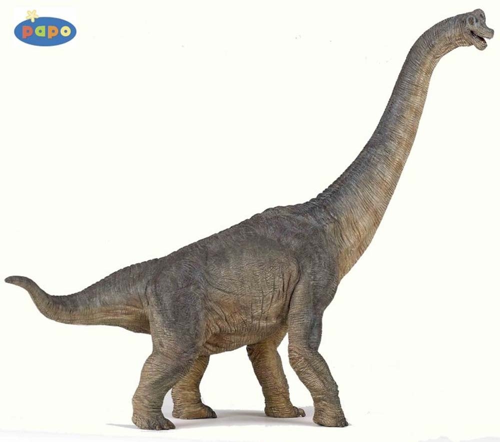 brachiosaure