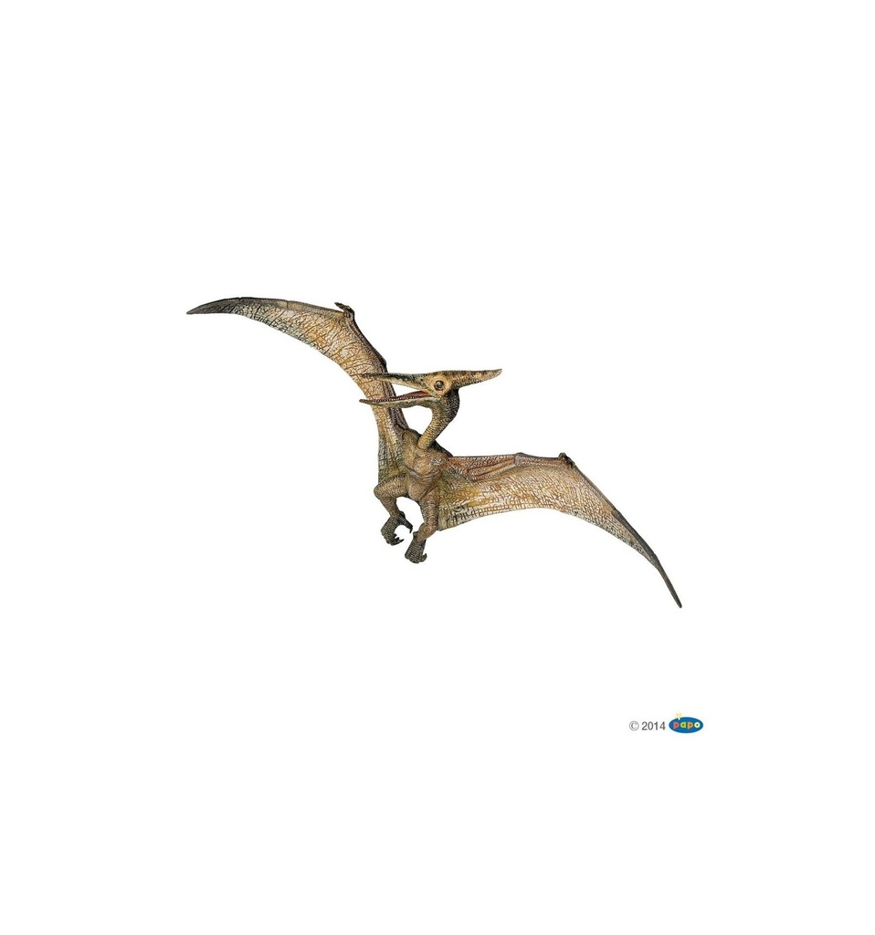 55006 - pteranodon