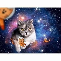 Puzzle 1500 pcs chats dans l'espace