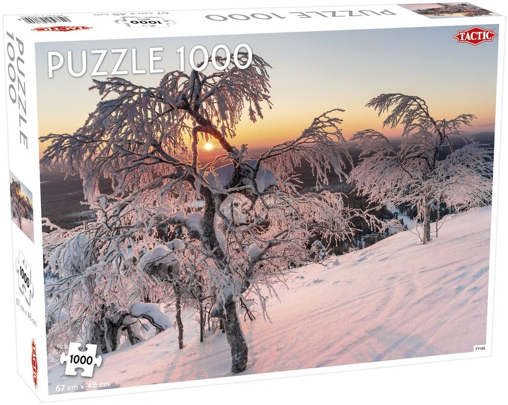 Puzzle 1000 pcs- paysage neige