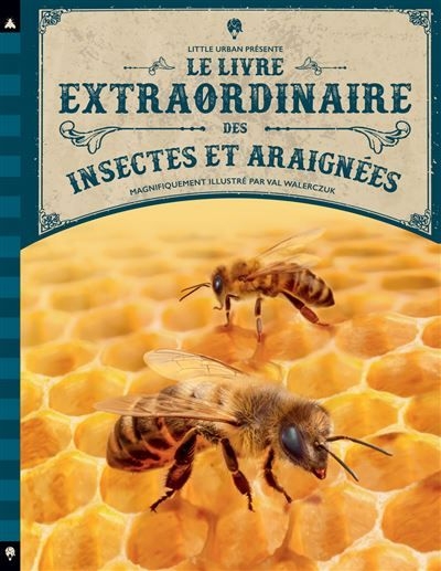 Little Urban - Le livre extraordinaire des insectes et araignees