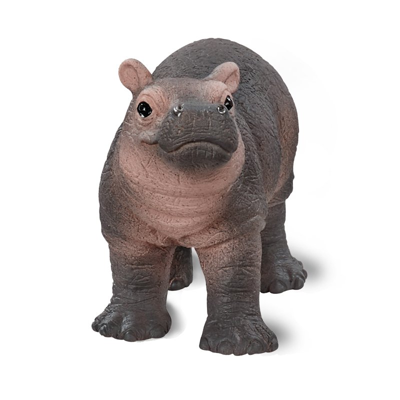 14831 - jeune hippopotame