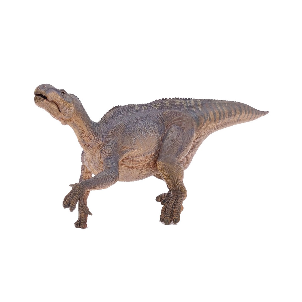 55071 iguanodon