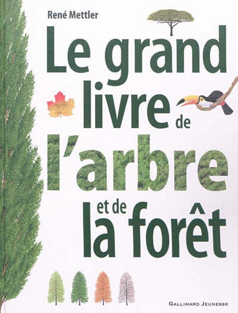 gallimard jeunesse - le grand livre de l arbre et de la foret