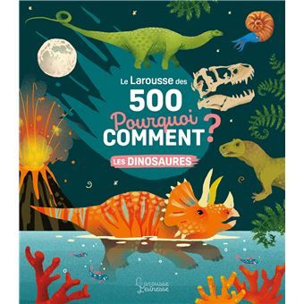 LAROUSSE DES 500 POURQUOI COMMENT?