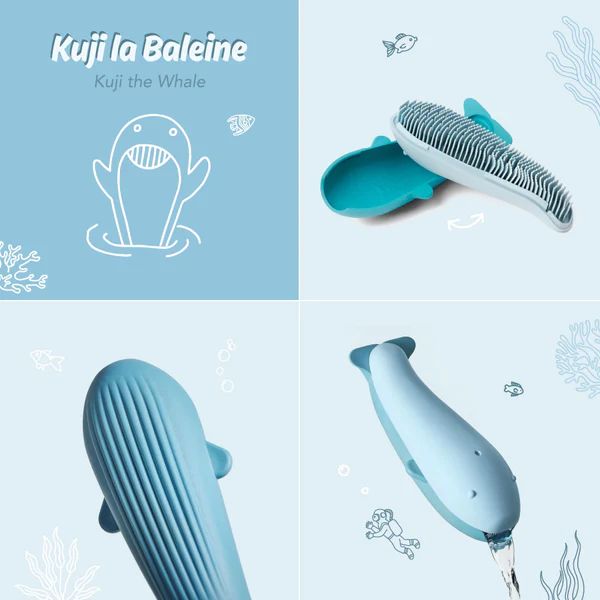 Flot - kuji la baleine