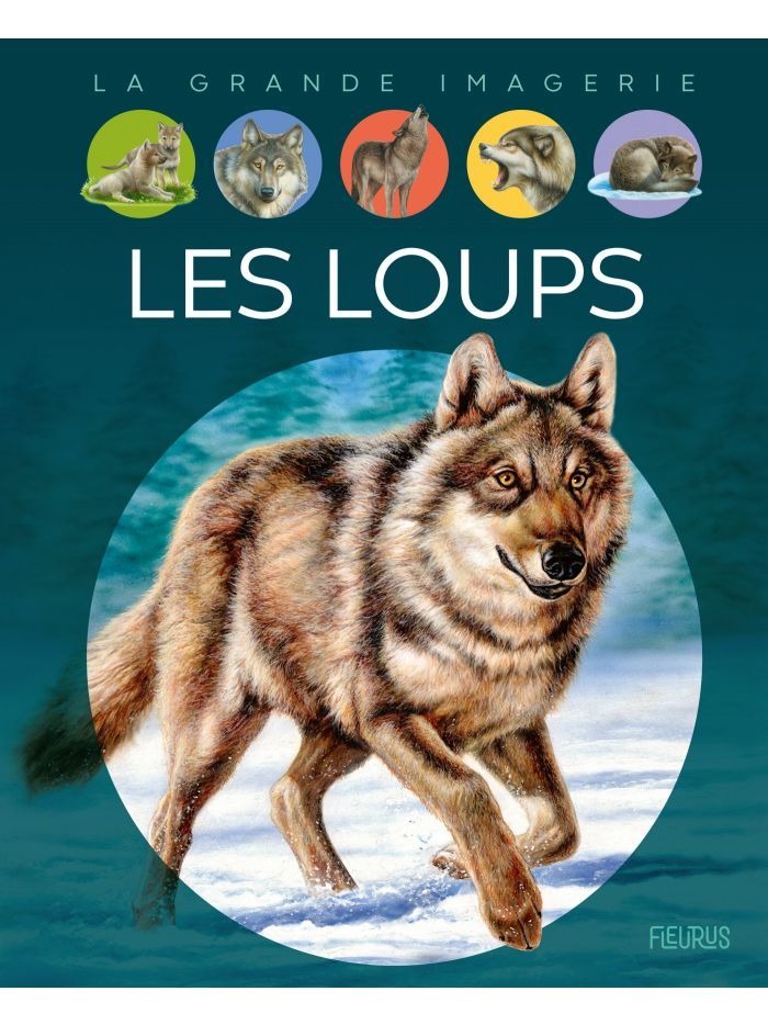 La grande imagerie - Les loups