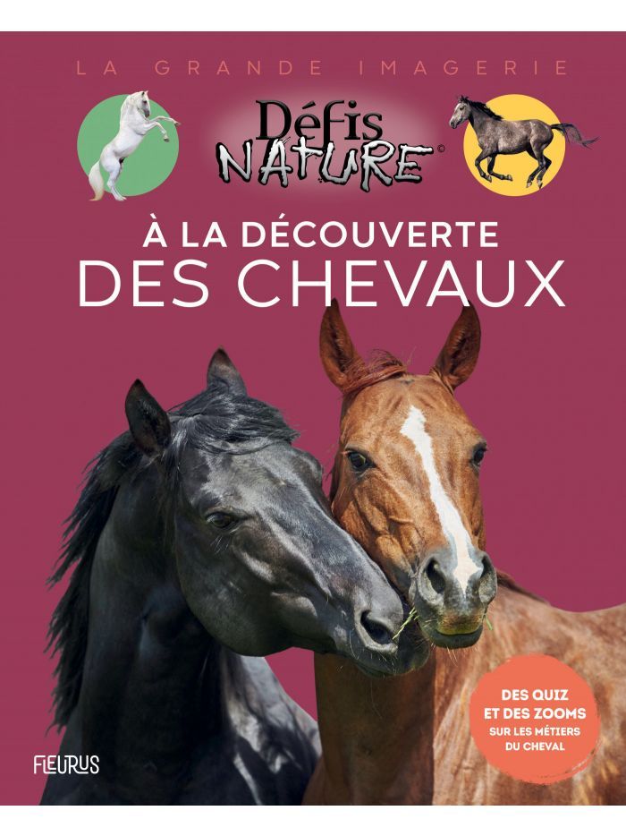 La grande imagerie - défis nature, à la découverte des chevaux