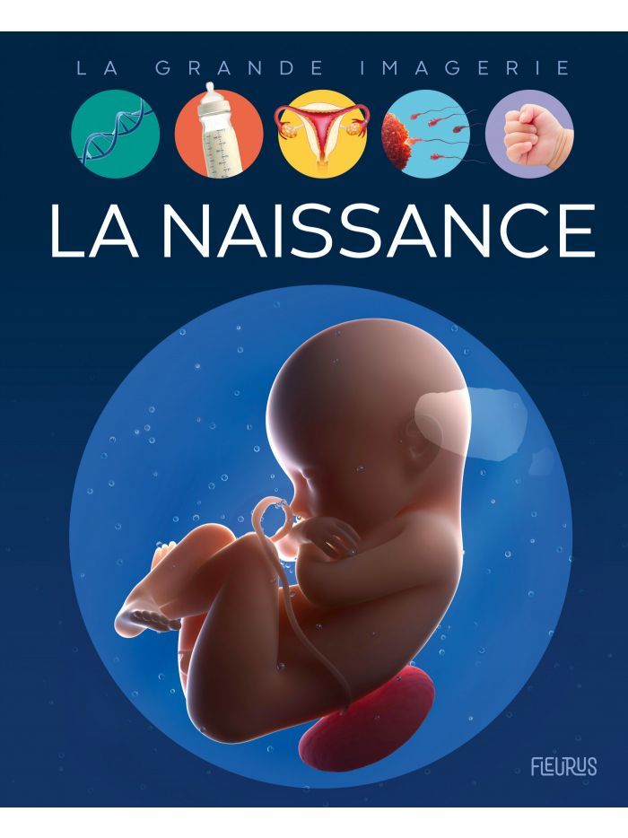 La grande imagerie - La naissance