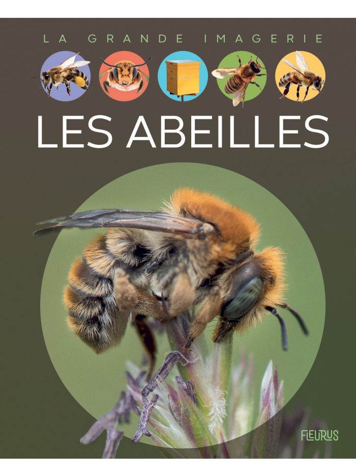 La grande imagerie - Les abeilles