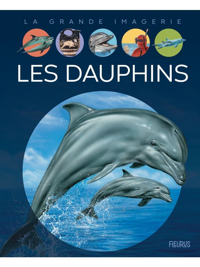 La grande imagerie - Les dauphins