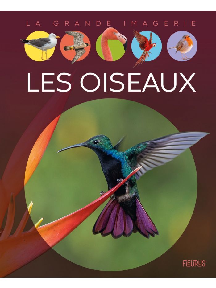 La grande imagerie - Les oiseaux