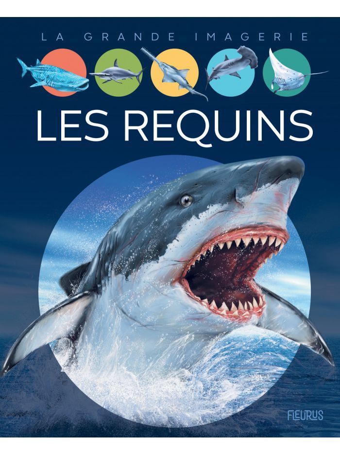 La grande imagerie - Les requins