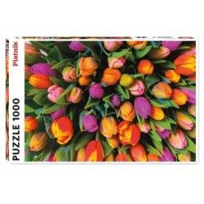 Puzzle 1000 pièces - Tulipes