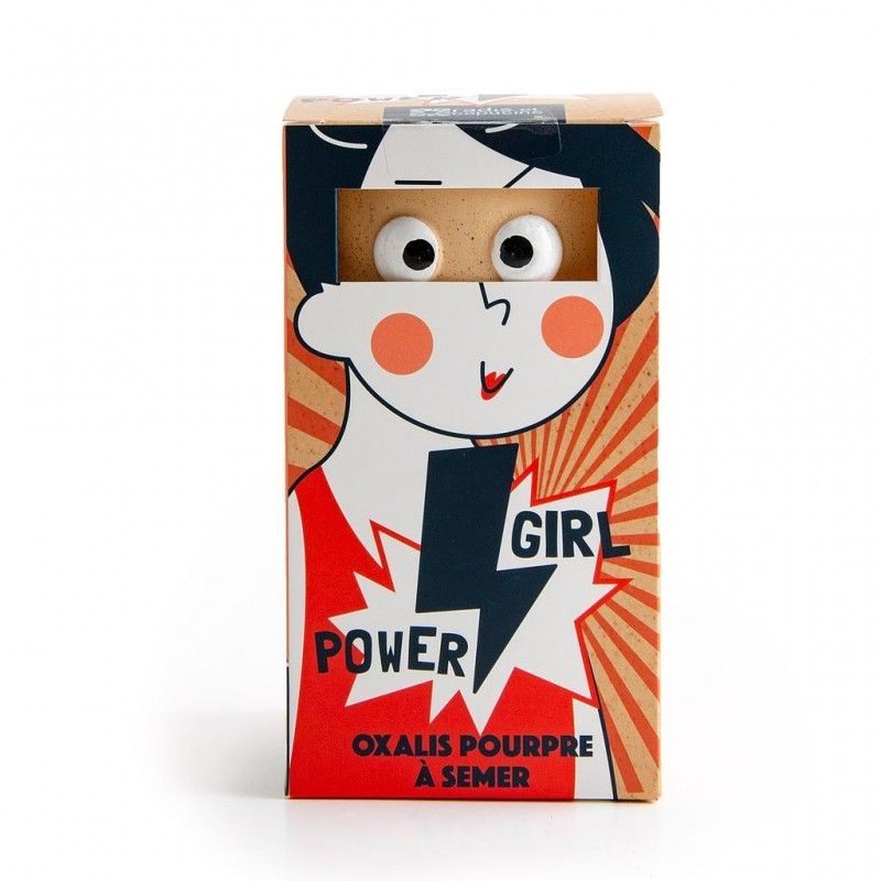 pot yeux girl power - oxalis pourpre