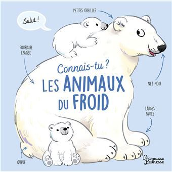 Connais-tu les animaux du froid?