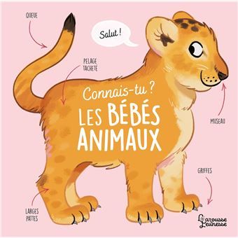 Connais-tu les bébés animaux?