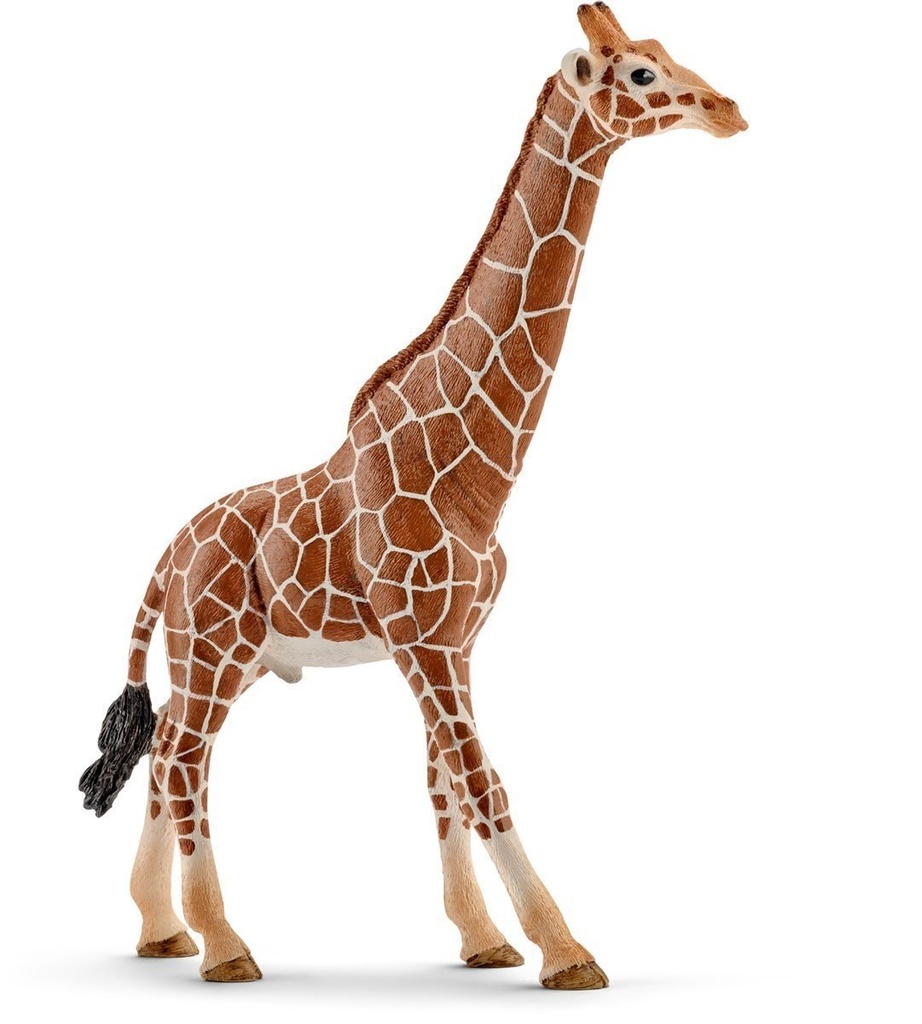 14749 - girafe male