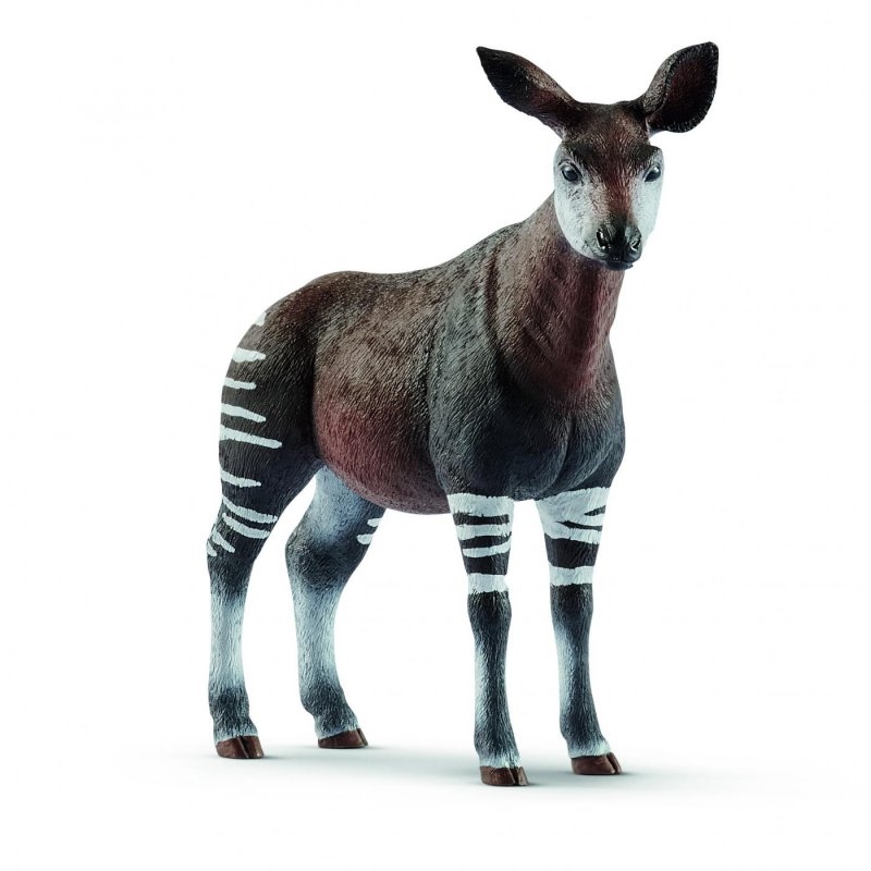 14830- okapi