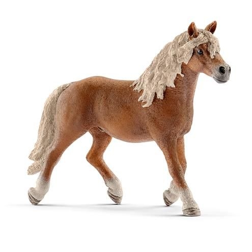 Etalon Haflinger