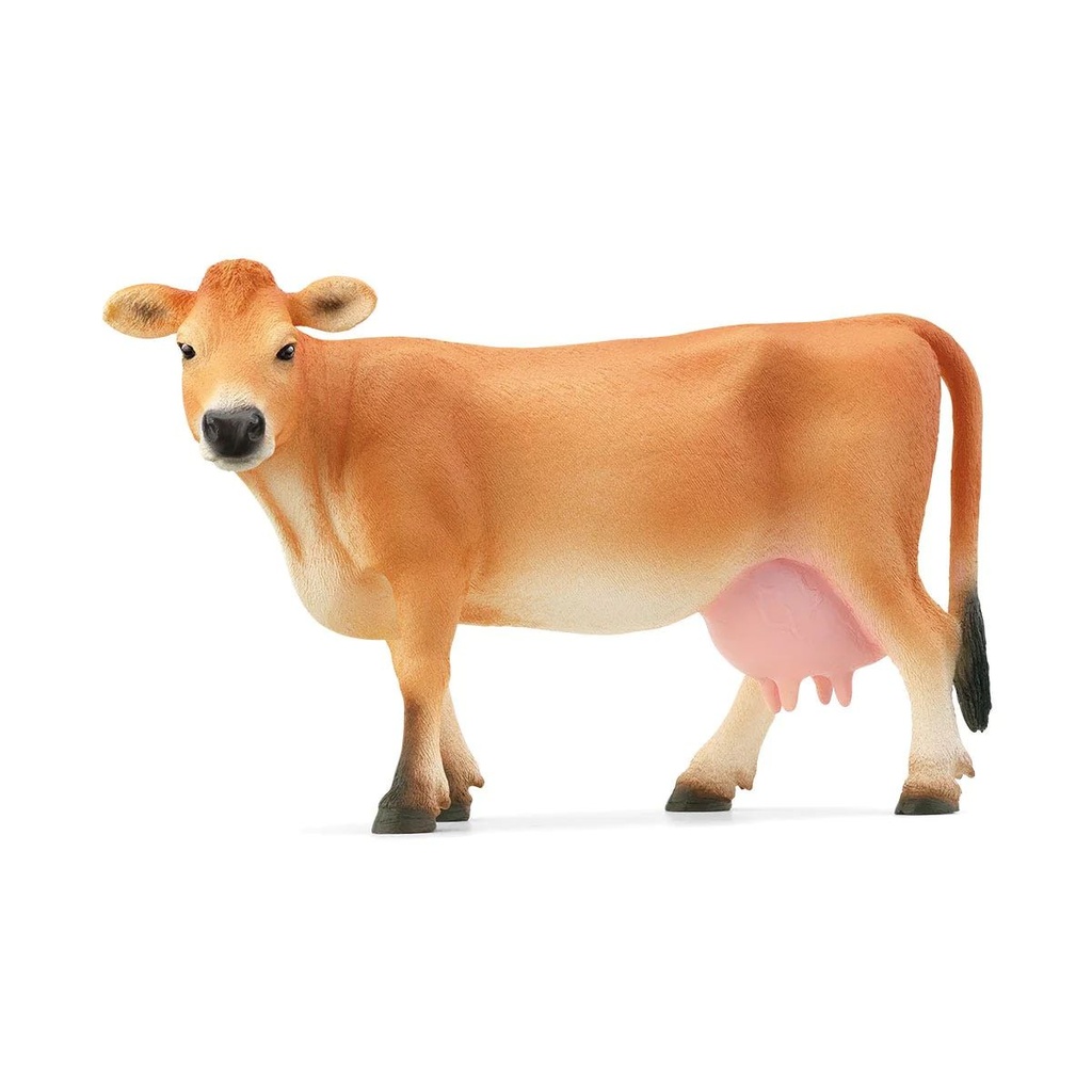 Vache Jersey