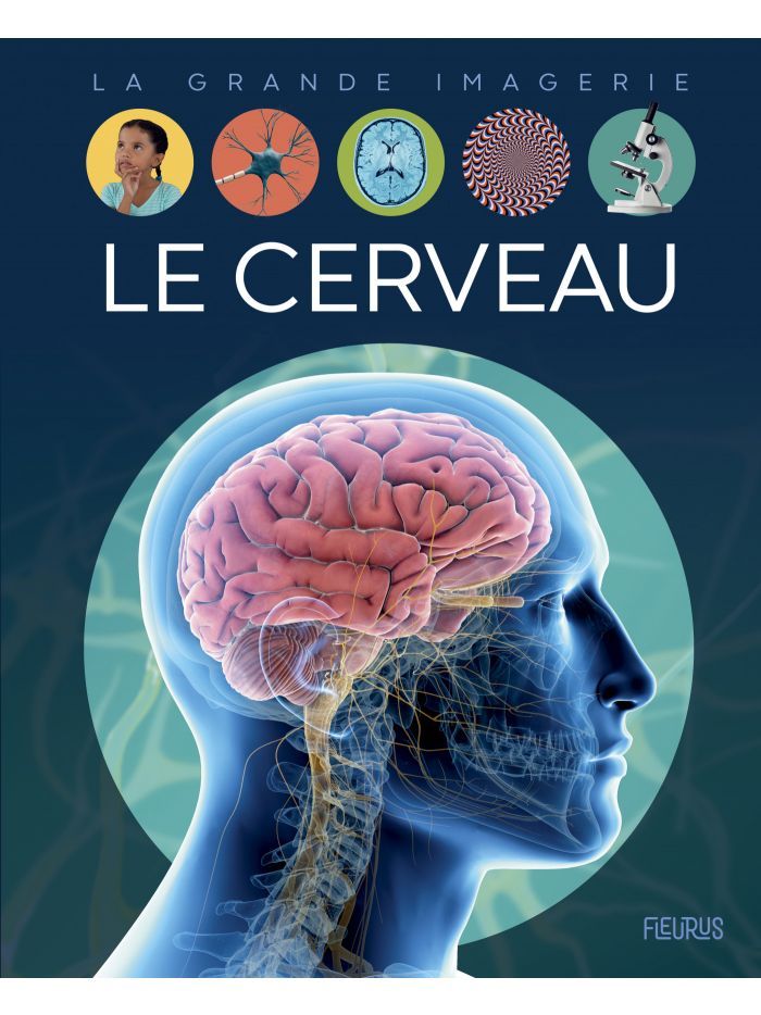 La grande imagerie - Le cerveau