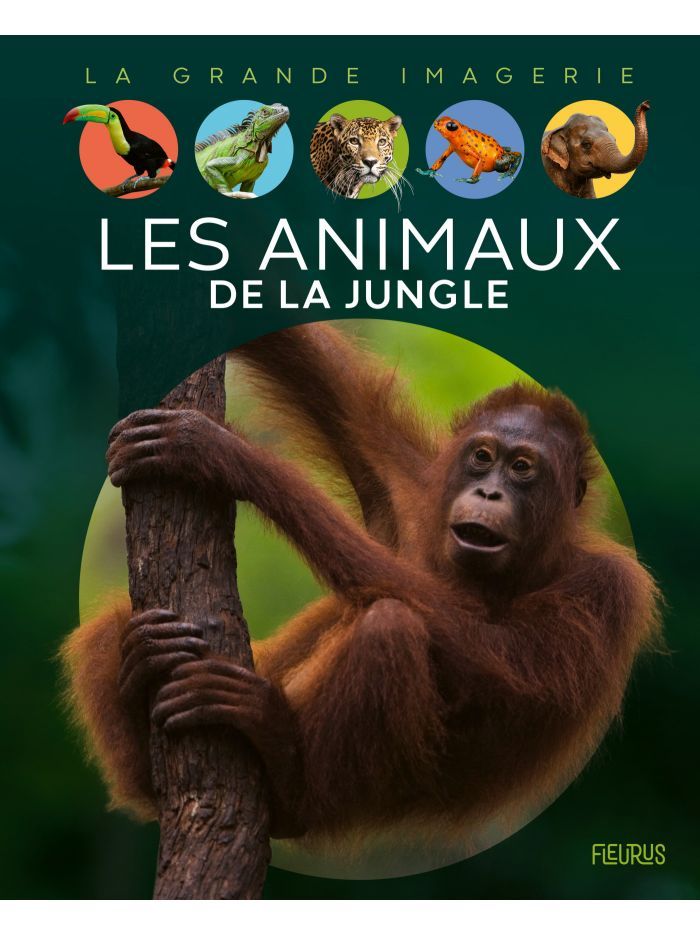 La grande imagerie - Les animaux de la jungle