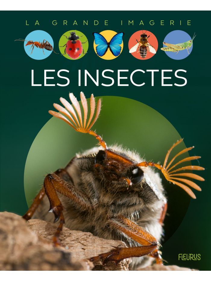 La grande imagerie - Les insectes