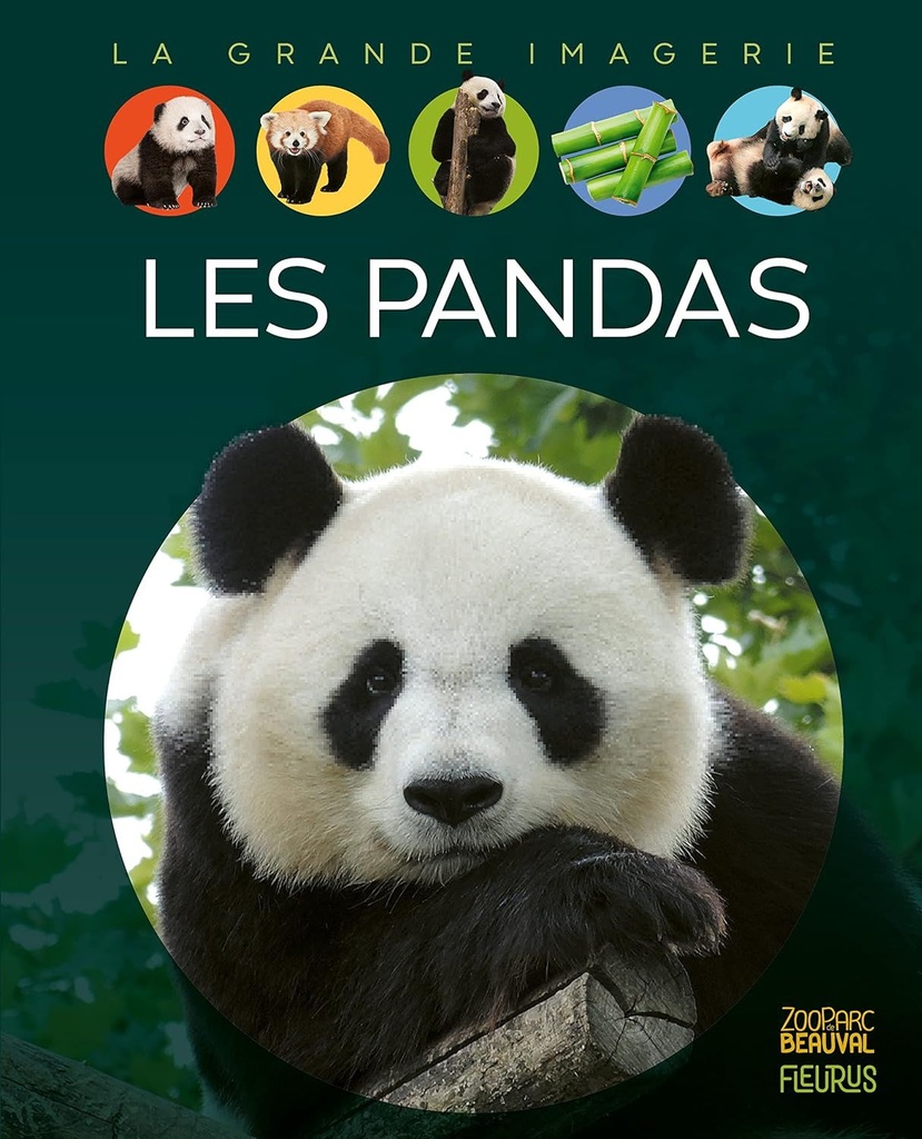 La grande imagerie - Les pandas