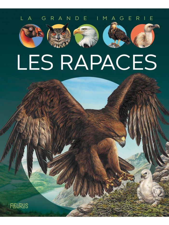 La grande imagerie - les rapaces