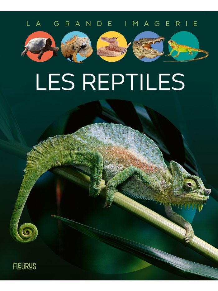 La grande imagerie - les reptiles