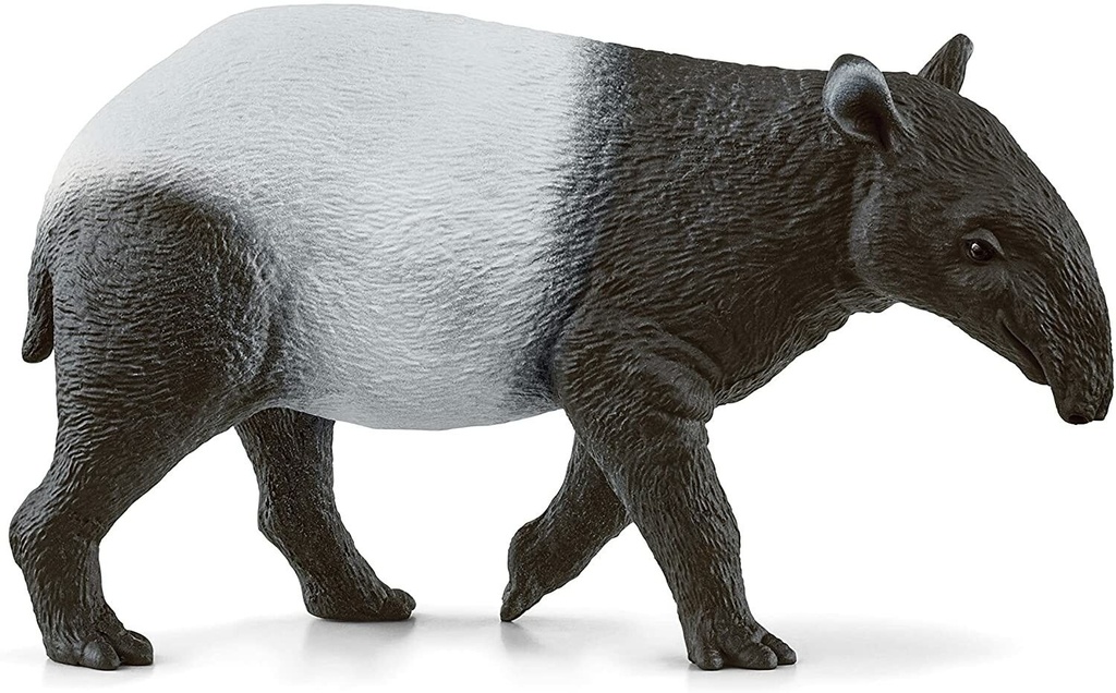 14850 tapir