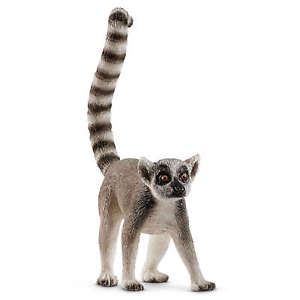 14827- lemur catta