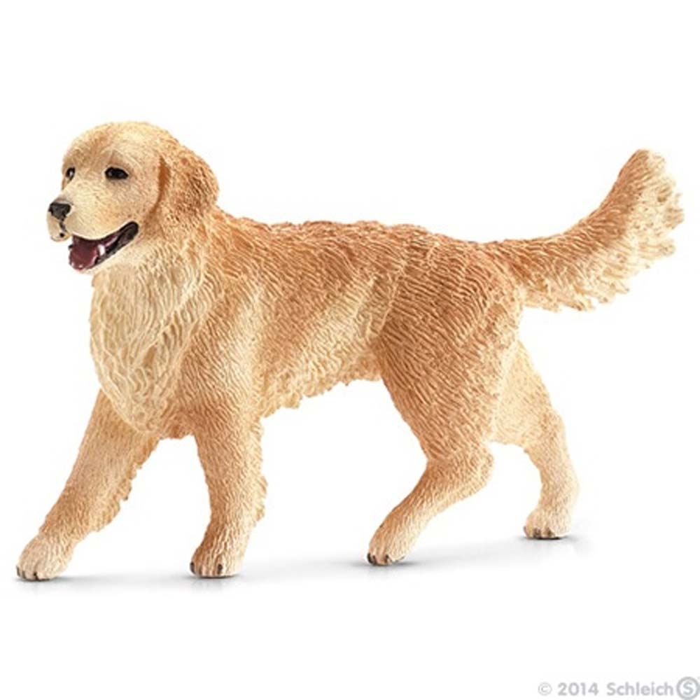 16395  golden retriever femelle