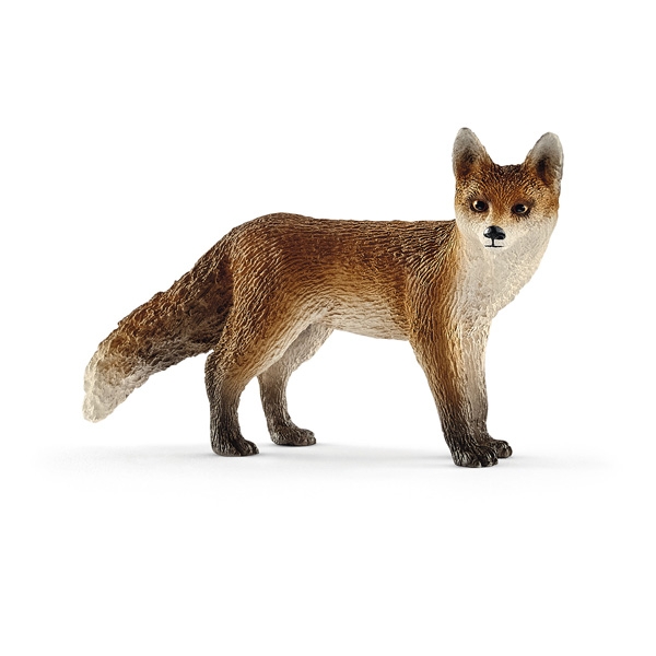 Renard