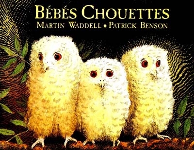 lutin poche - bebes chouettes