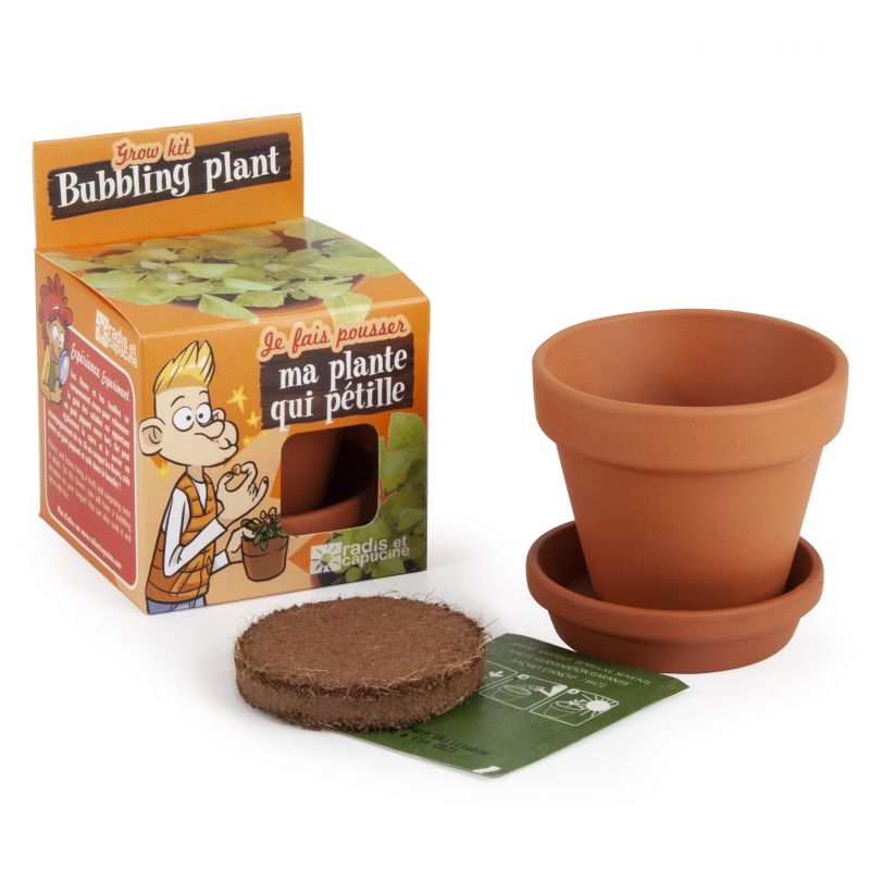 pot 8 cm avec coupelle plante qui petille