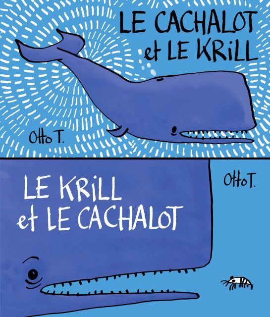 Le cachalot et le krill