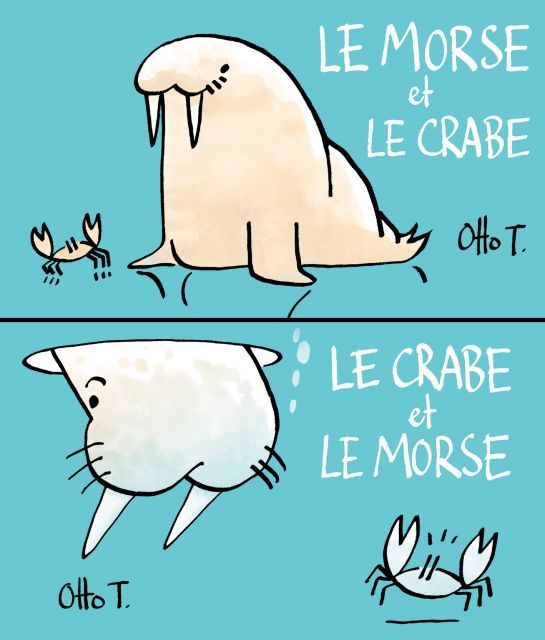 Le crabe et le morse