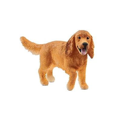 13896 cocker spaniel anglais