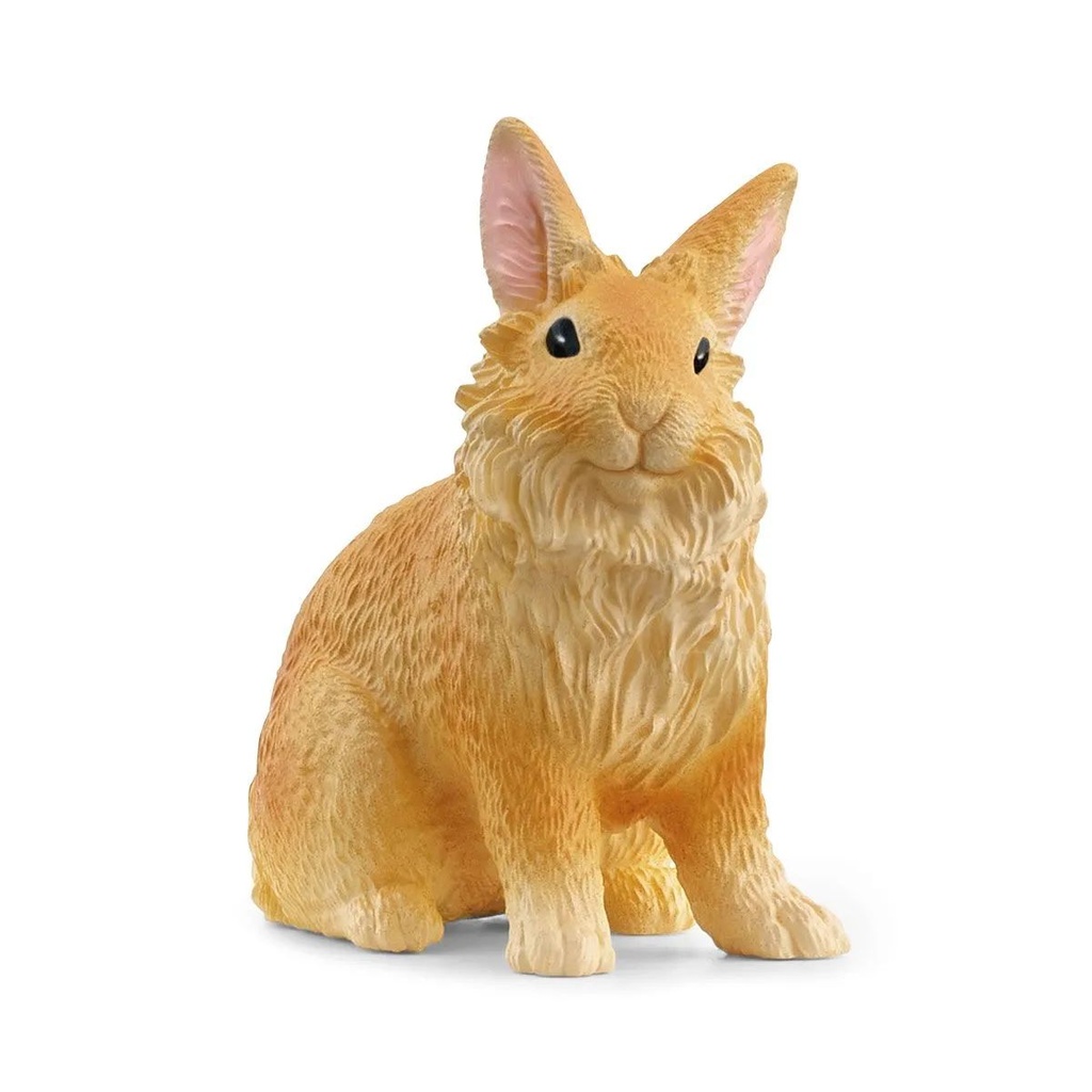 Lapin lionhead