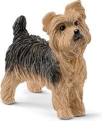 13876 yorkshire terrier