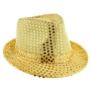 Chapeau avec paillettes 