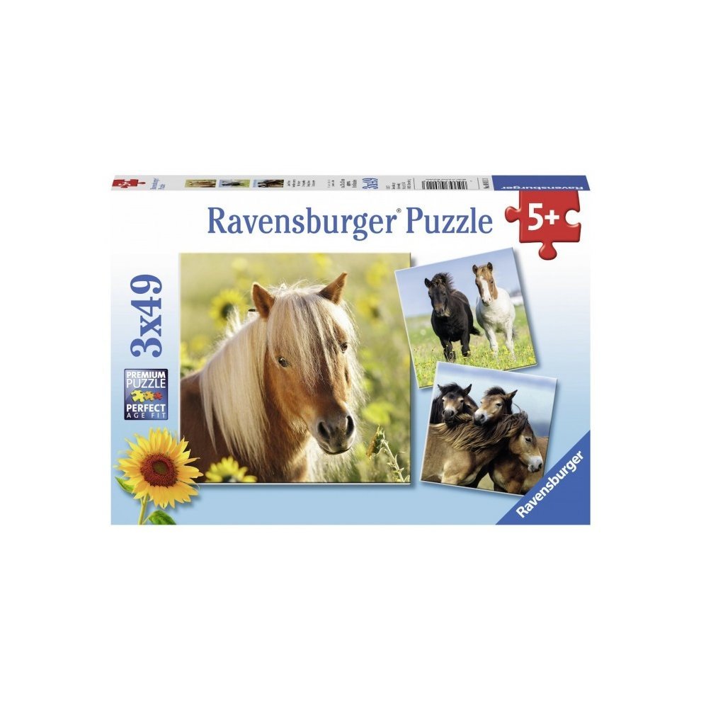 Puzzle 3x49 Pieces - Amour des chevaux