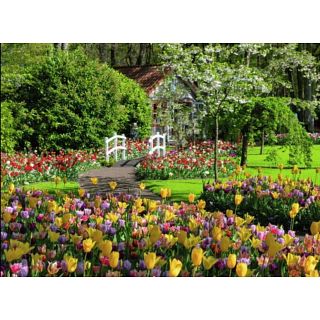 Puzzle 1000 pcs - Le jardin de Keukenhof