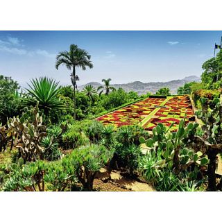 Puzzle 1000 pcs - Jardin botanique