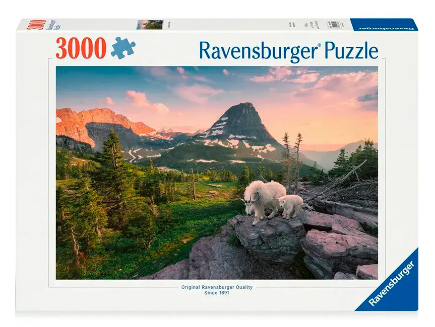 Puzzle 3000 pièces - Chèvre et chevreau