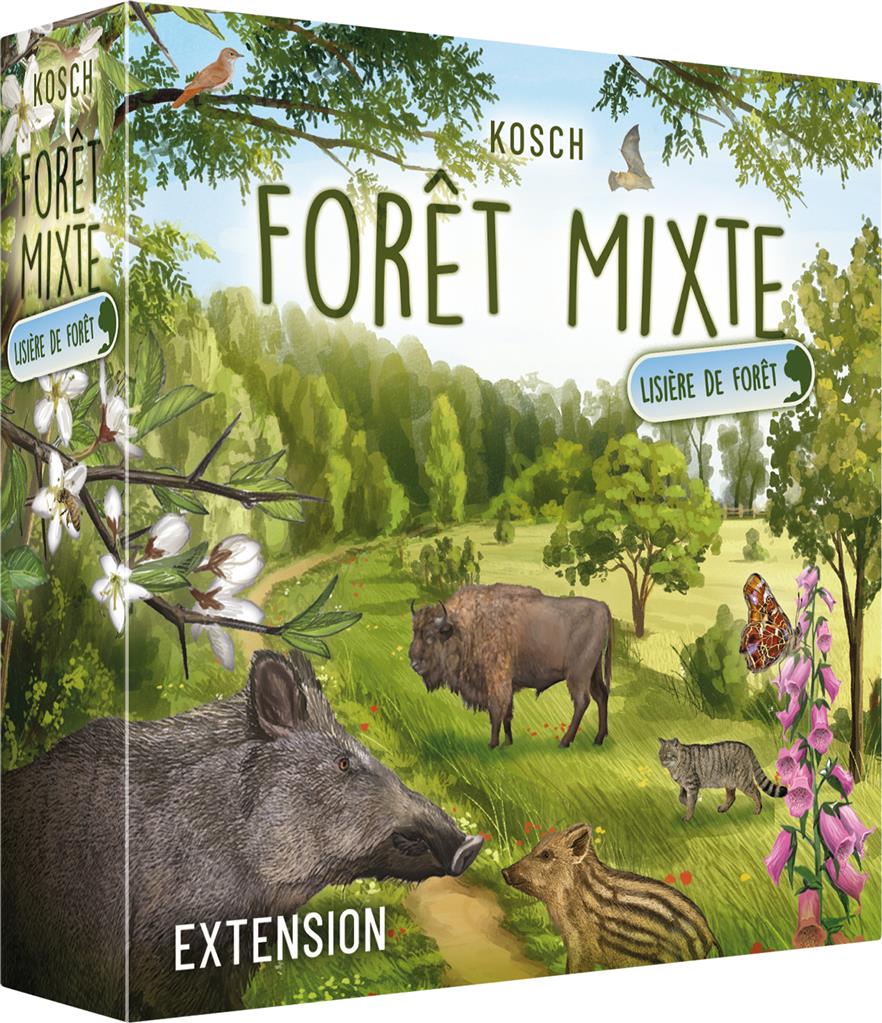 Forêt mixte lisière de forêt