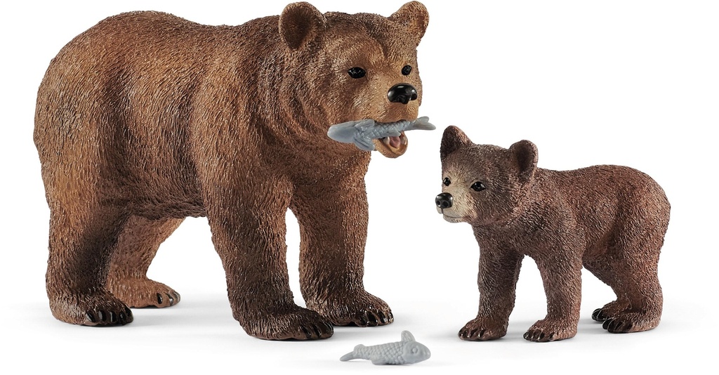 Maman grizzly avec son ourson